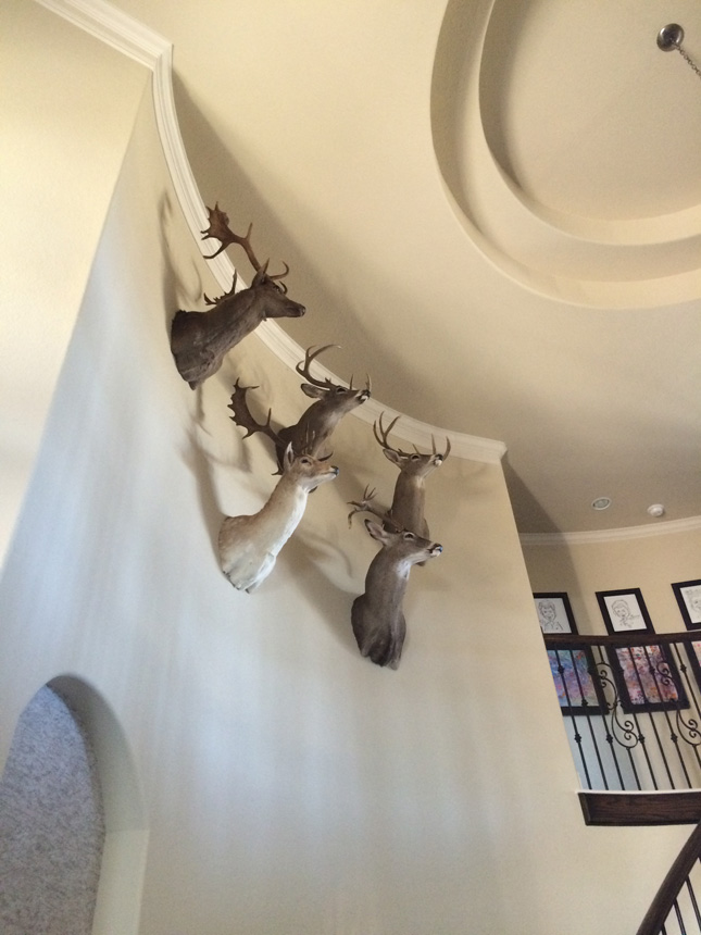 spring-into-beautiful-design