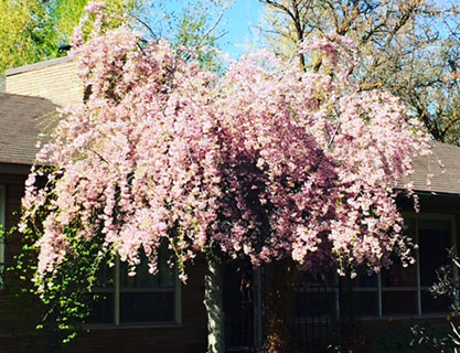 Travel, luxury apartments, and scholarships!