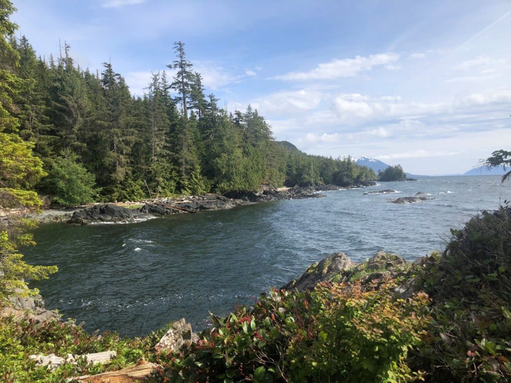 travel-inspired design view of the lake near Ketchikan is sure to inspire good design