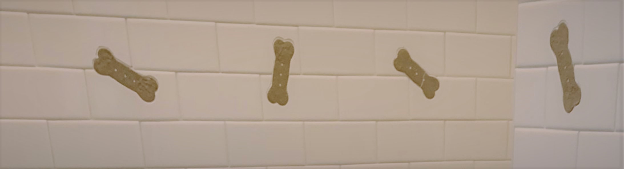 bath tiles for dog grooming areas